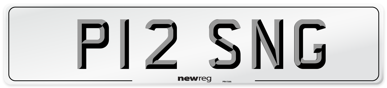 P12 SNG Number Plate from New Reg